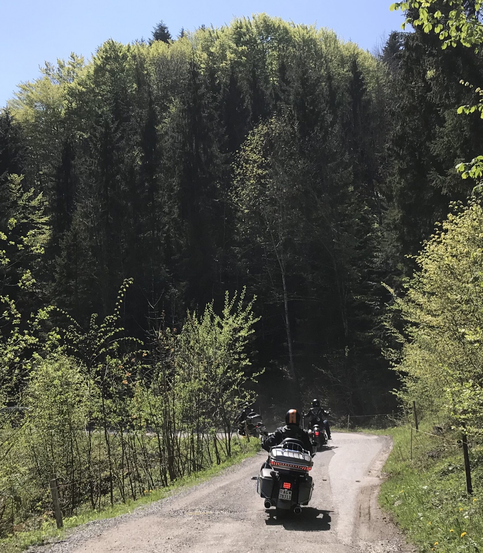1.Mai Tag der Arbeit Tour (100 (15)