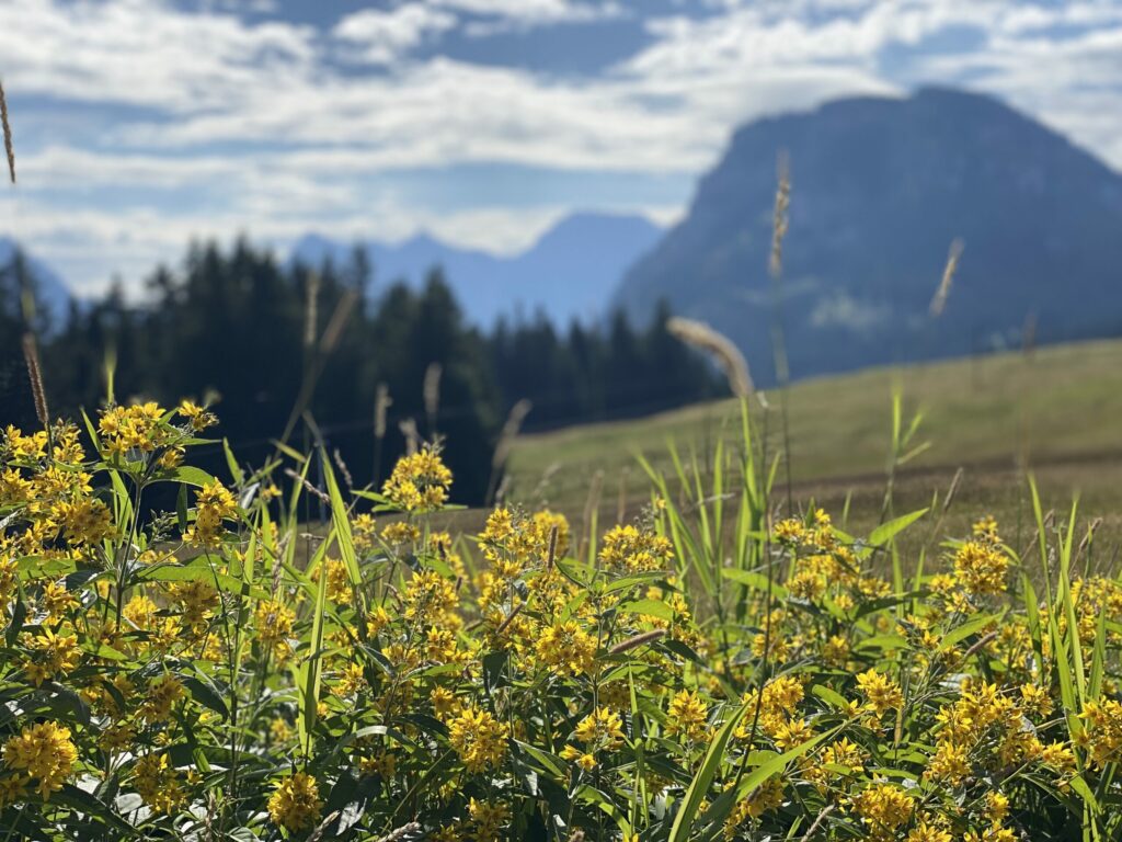 De schönschti Fläck vom Glarnerland (118)