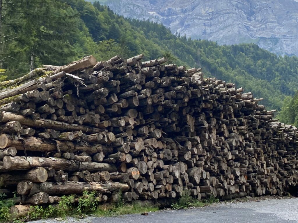 De schönschti Fläck vom Glarnerland (123)