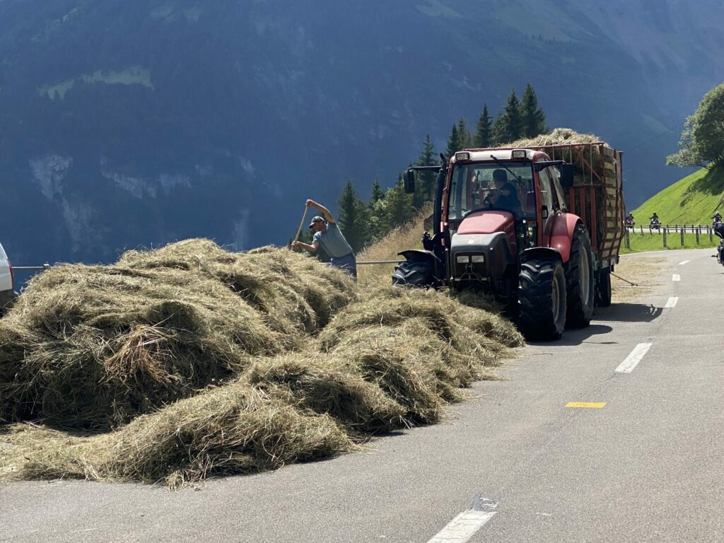 De schönschti Fläck vom Glarnerland (129)