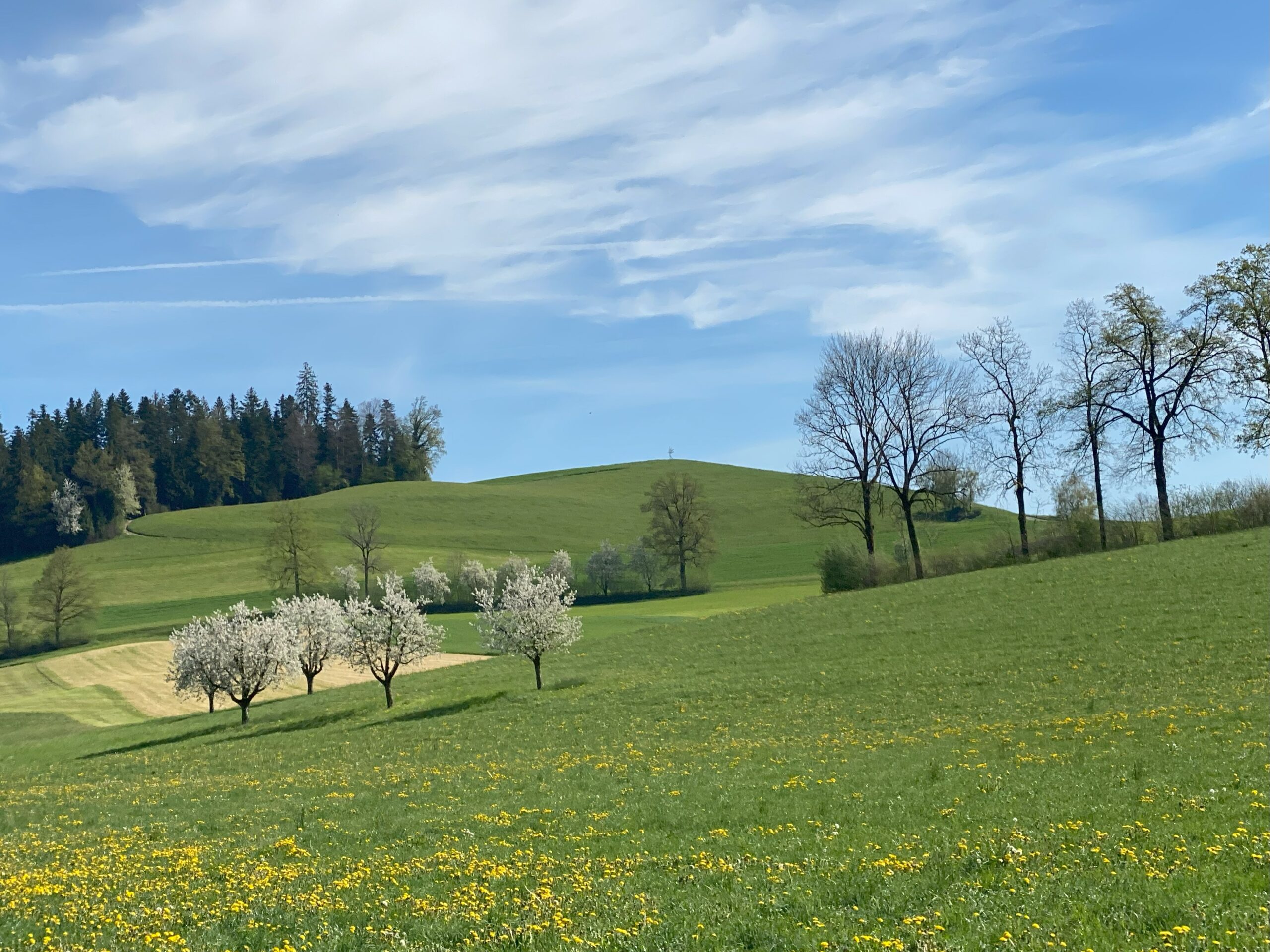 Spätigtour_2024 (123)