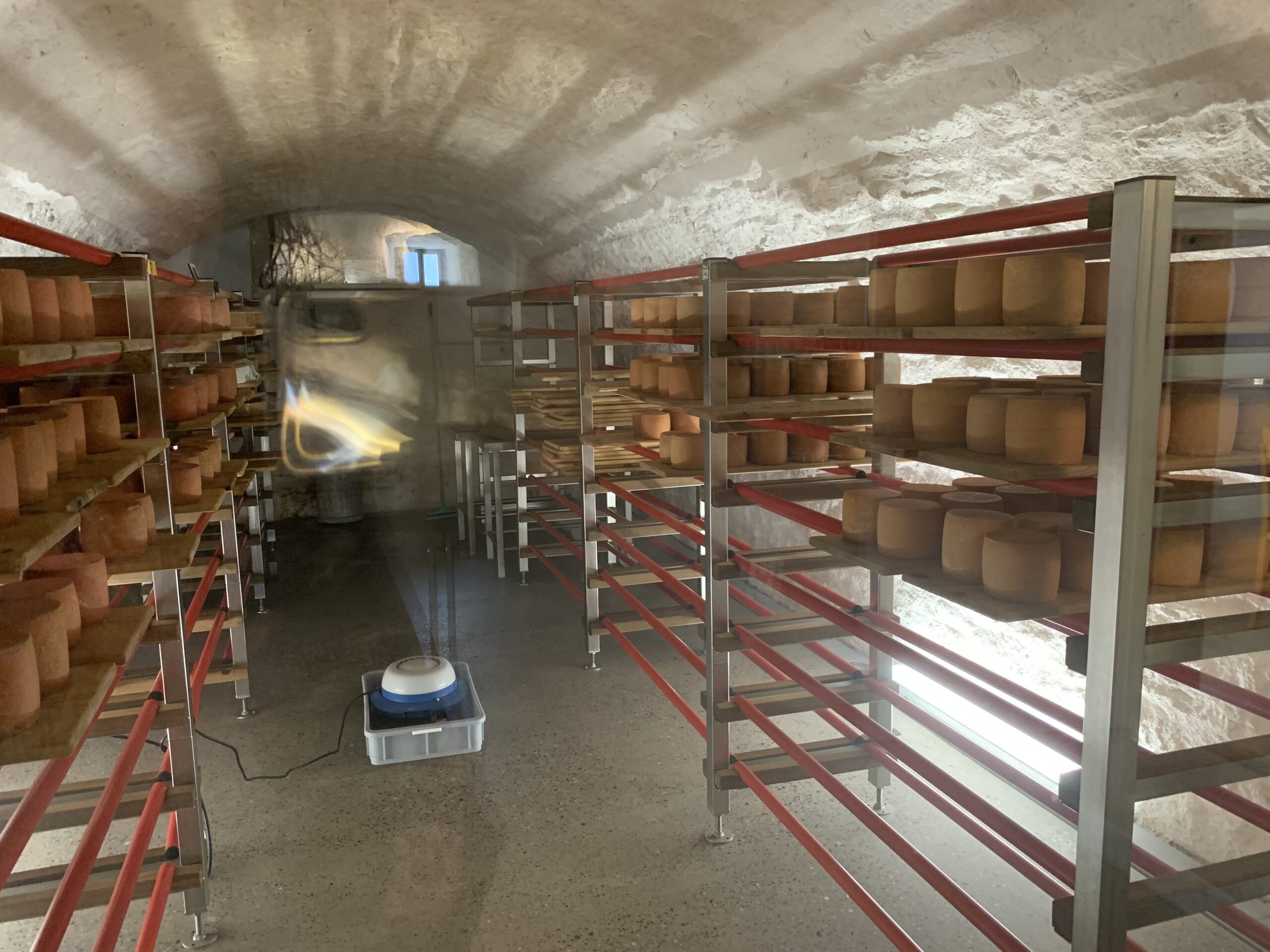 Elsass Tour Tag 1 (116)