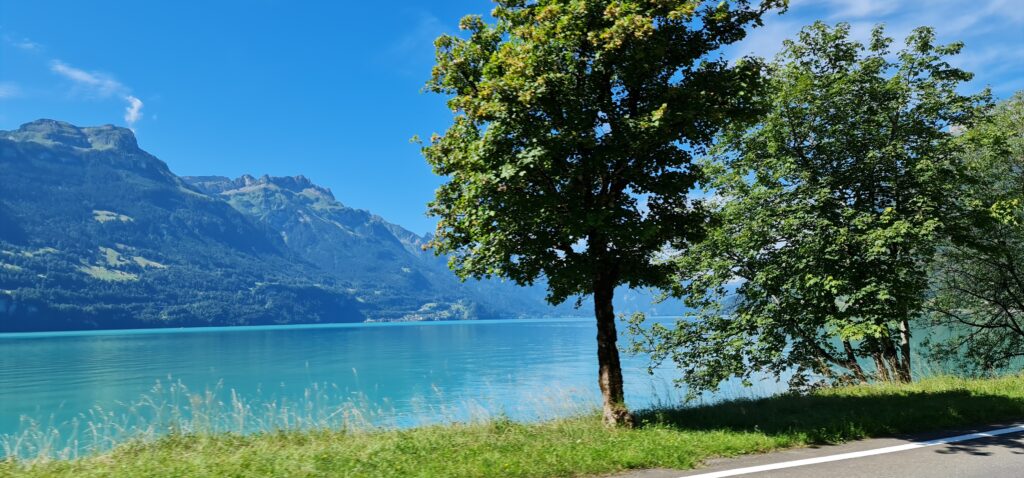 Fahrt ins Blaue (109)