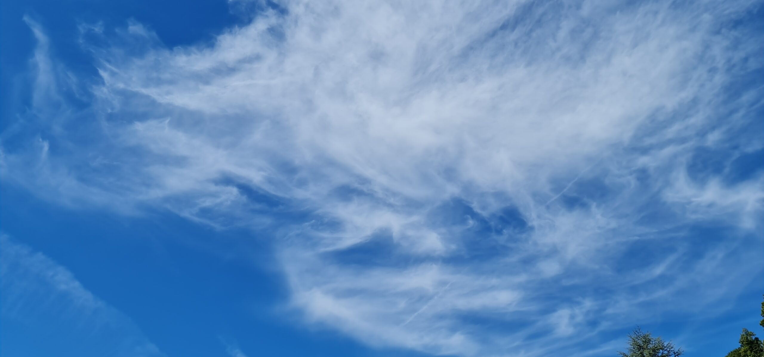 Fahrt ins Blaue (110)