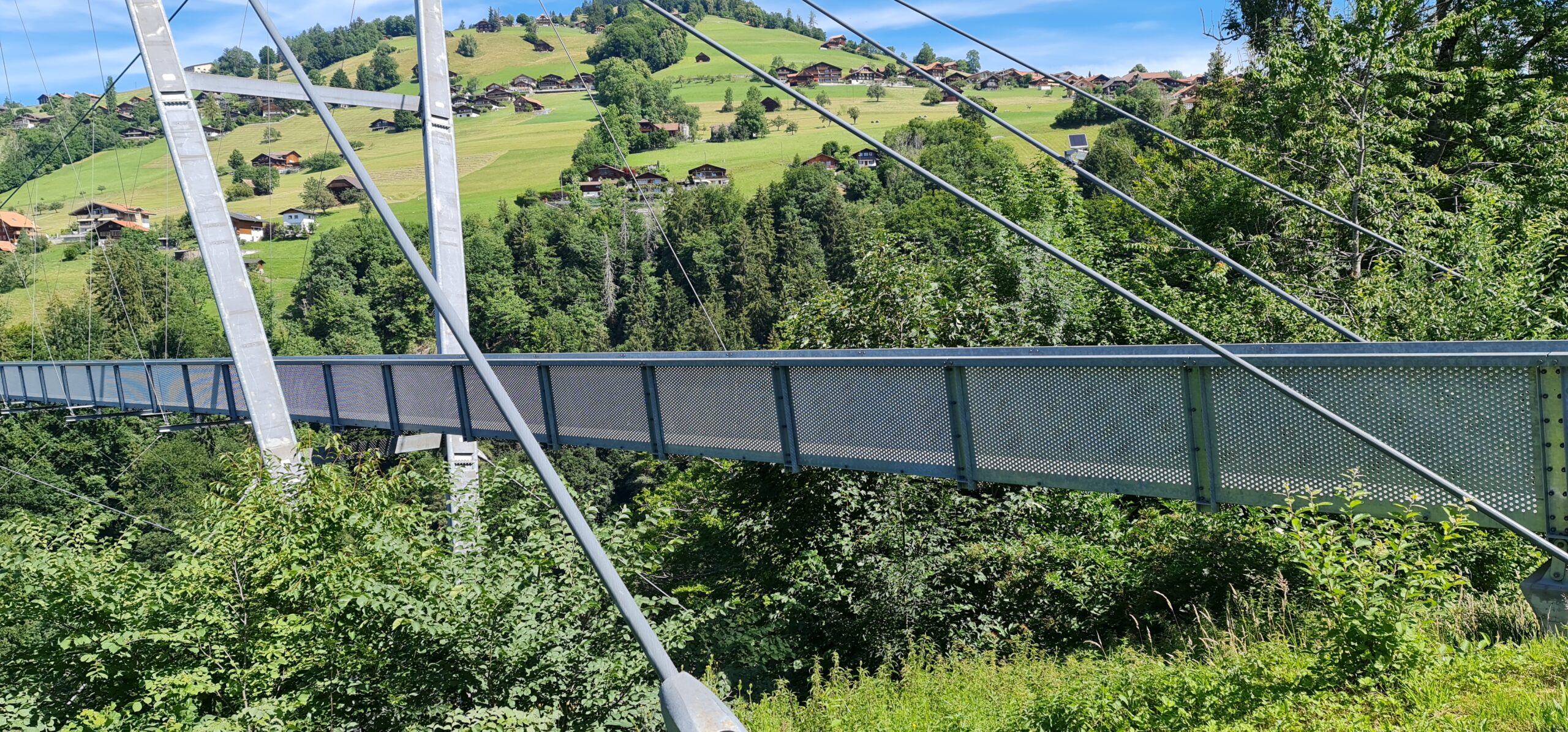 Fahrt ins Blaue (115)