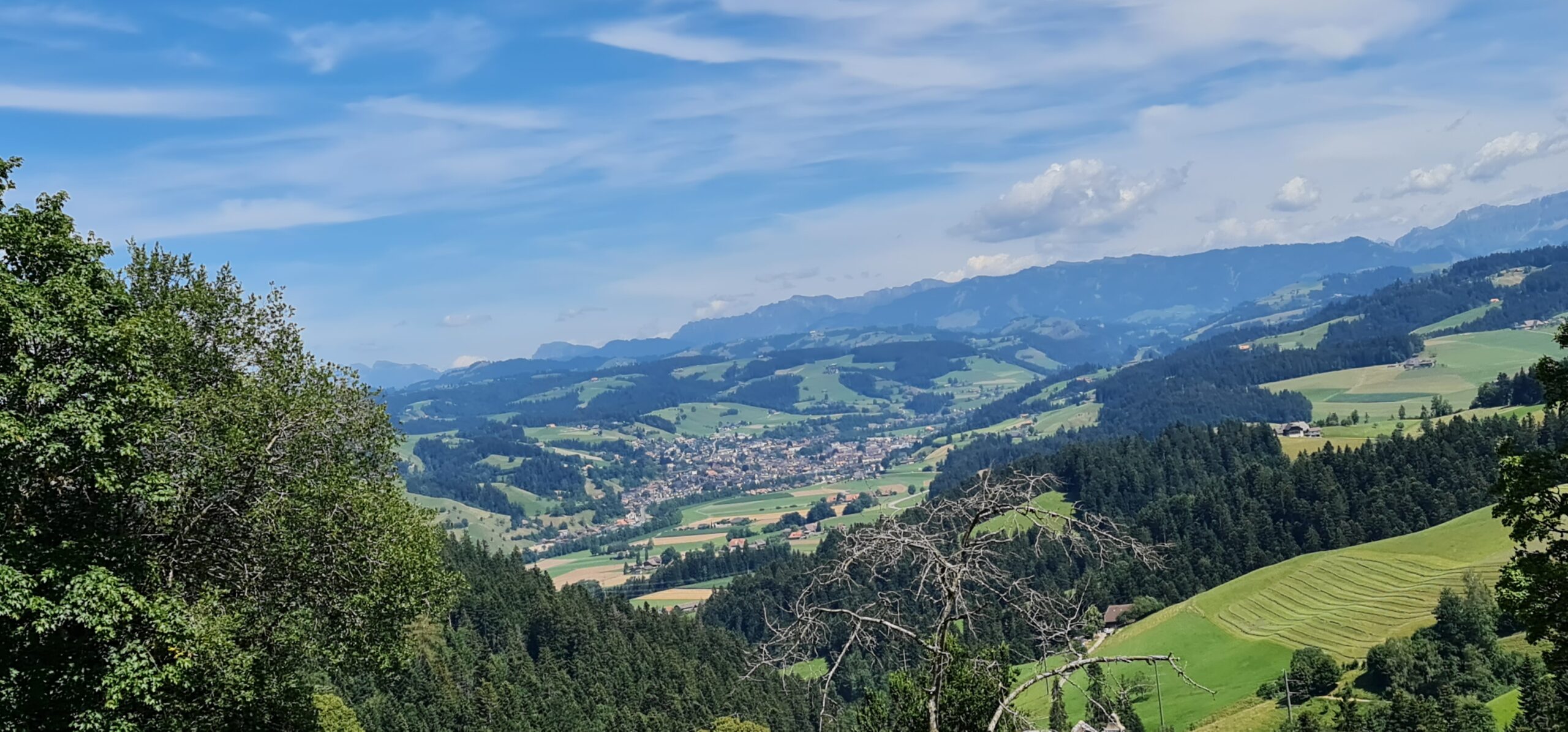 Fahrt ins Blaue (122)