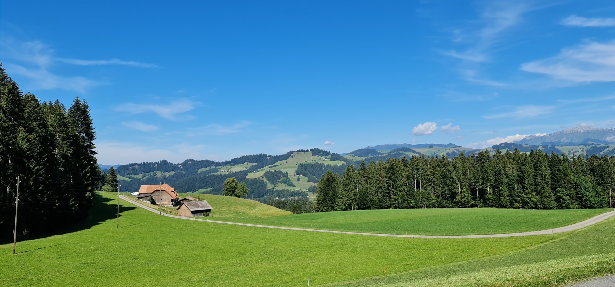Fahrt ins Blaue (125)