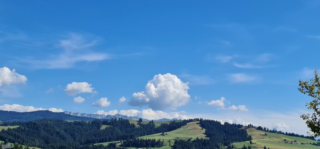 Fahrt ins Blaue (126)