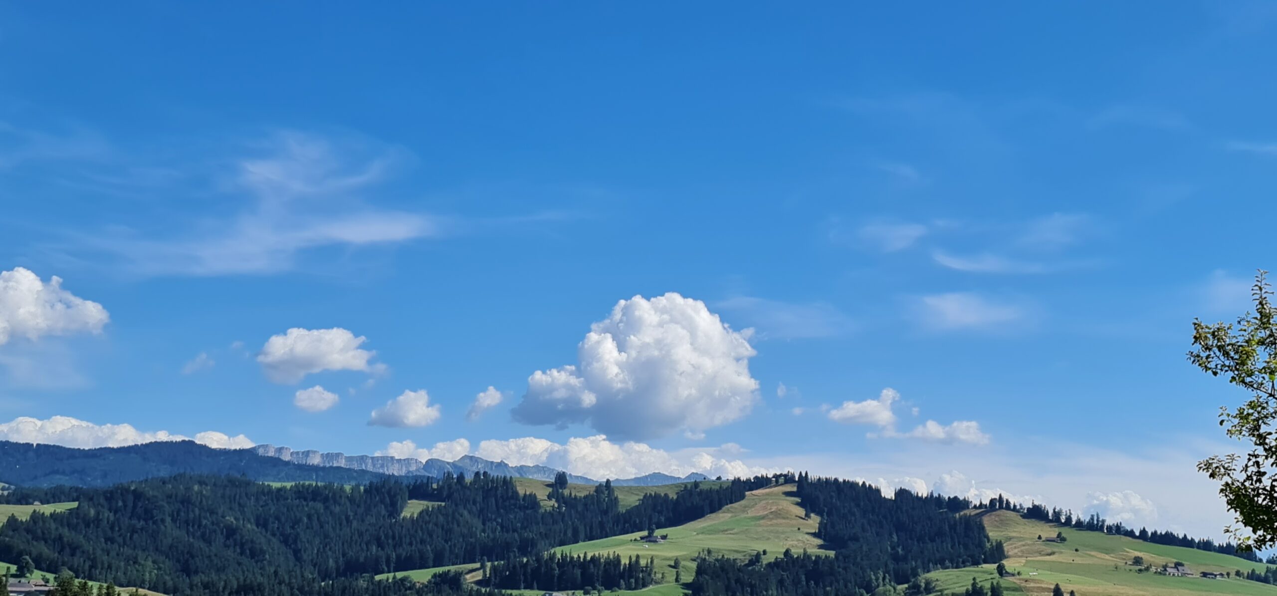 Fahrt ins Blaue (126)