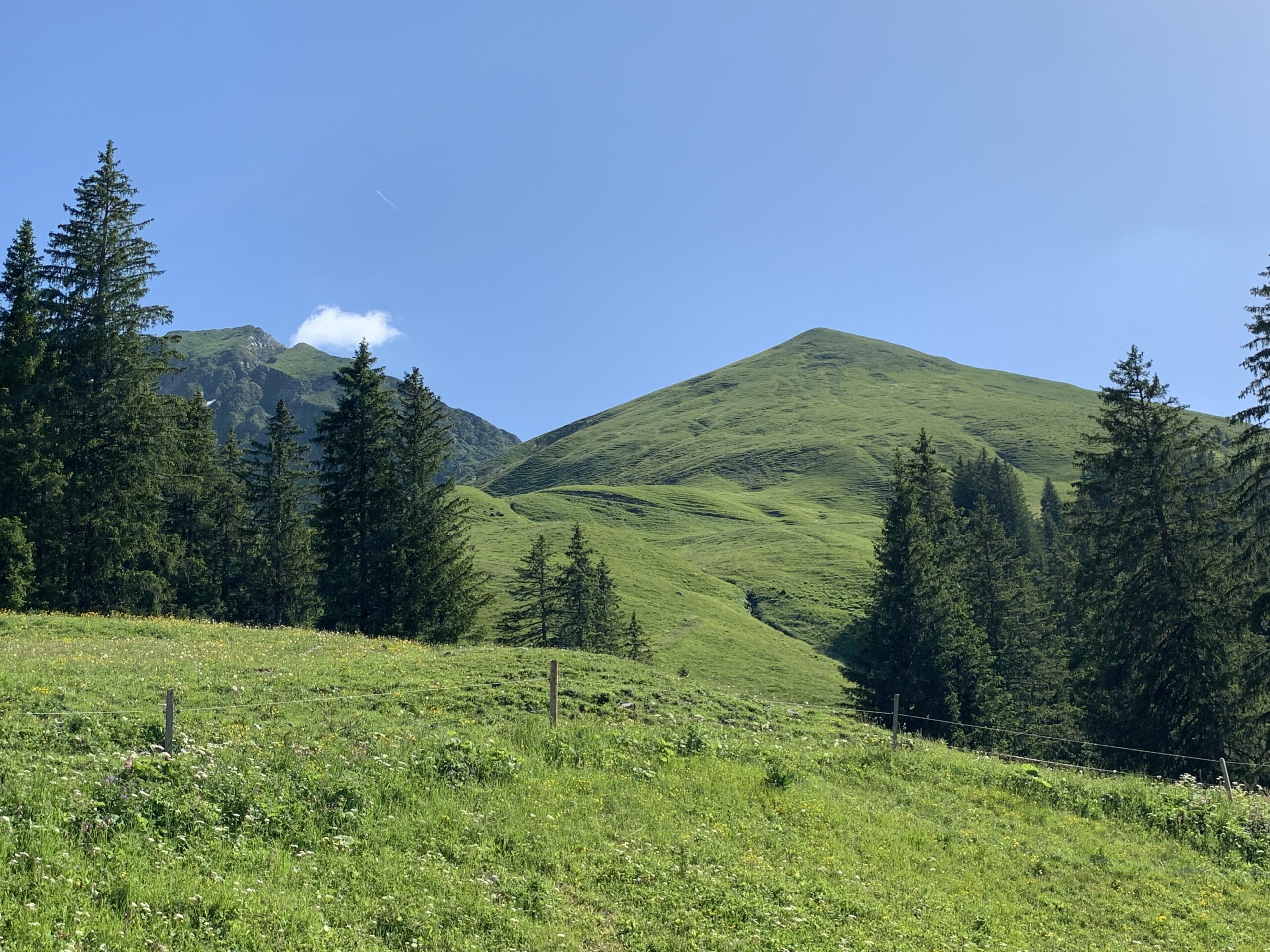 Fribourg Chapter Bike Fest (210)