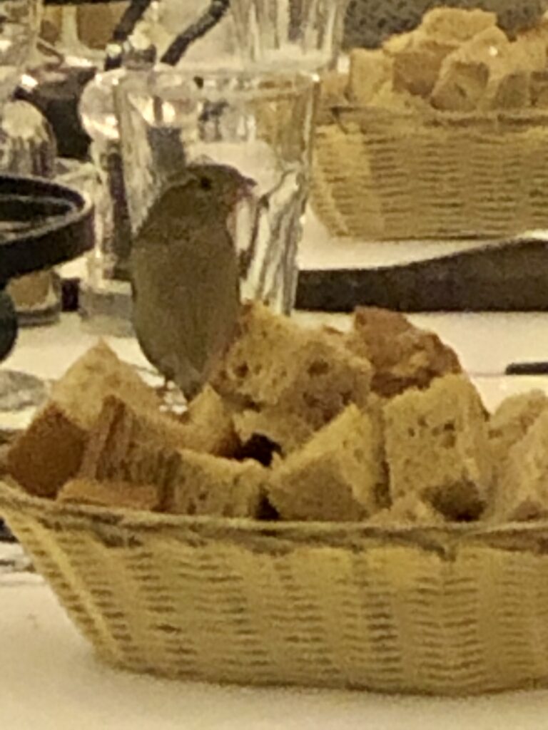 Weihnachts-Fondue (100)